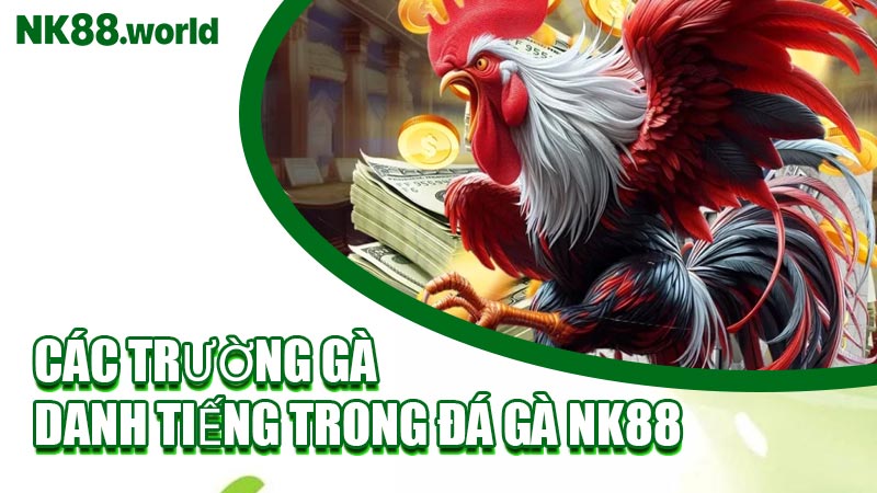 Các Trường Gà Danh Tiếng Trong Đá Gà NK88