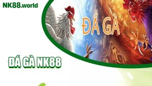 Đá Gà NK88