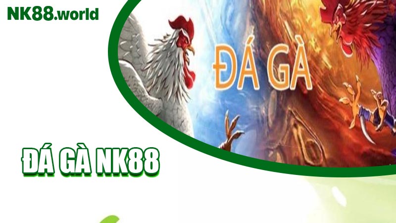 Đá Gà NK88