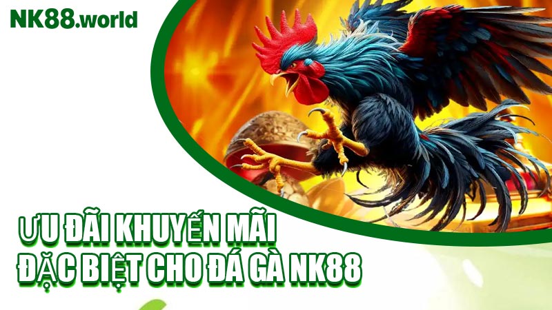 Ưu Đãi Khuyến Mãi Đặc Biệt Cho Đá Gà NK88